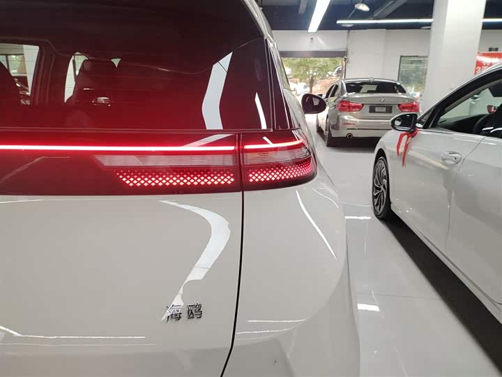 BYD Seagull 2025 2025款 305km 活力版