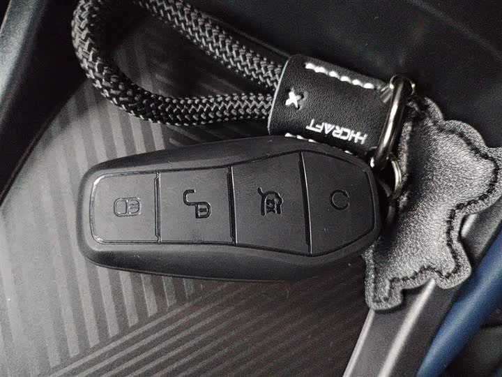 BYD Seagull 2025 2025款 305km 活力版