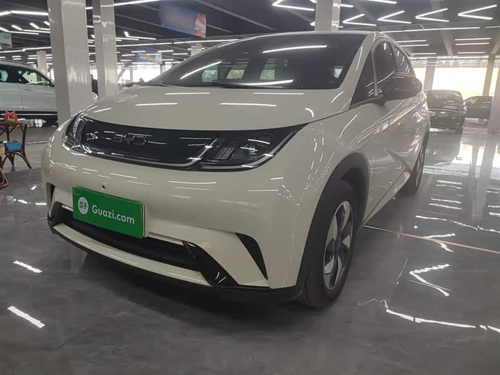 BYD Dolphin 2025 2025款 420km 自由版