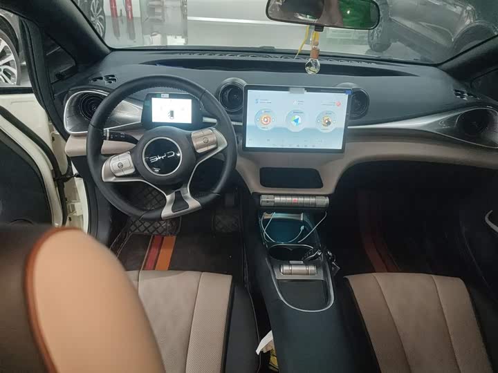 BYD Dolphin 2025 2025款 420km 自由版