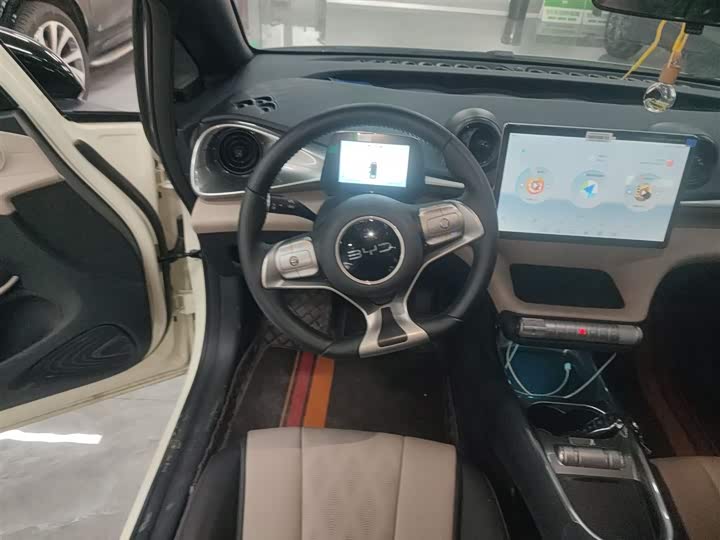 BYD Dolphin 2025 2025款 420km 自由版