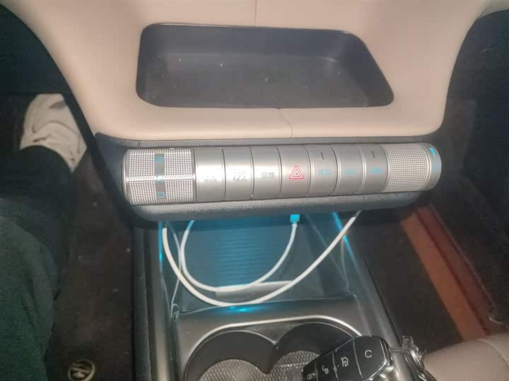 BYD Dolphin 2025 2025款 420km 自由版