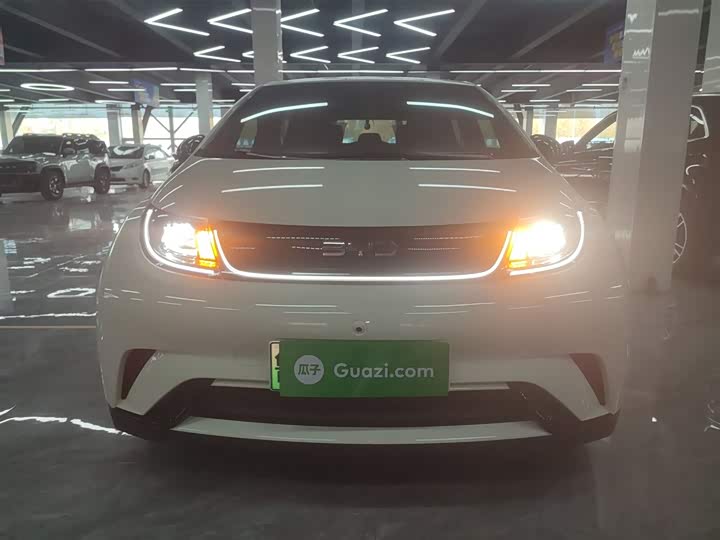 BYD Dolphin 2025 2025款 420km 自由版