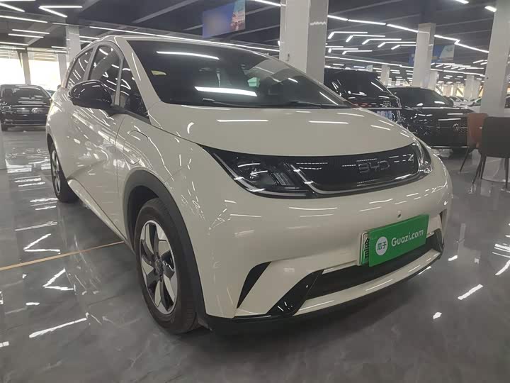 BYD Dolphin 2025 2025款 420km 自由版