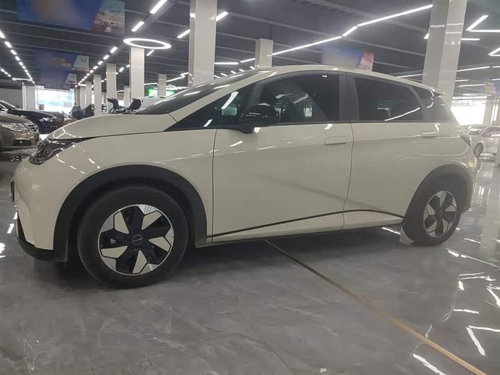 BYD Dolphin 2025 2025款 420km 自由版