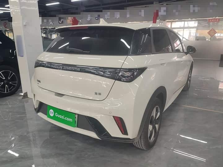 BYD Dolphin 2025 2025款 420km 自由版