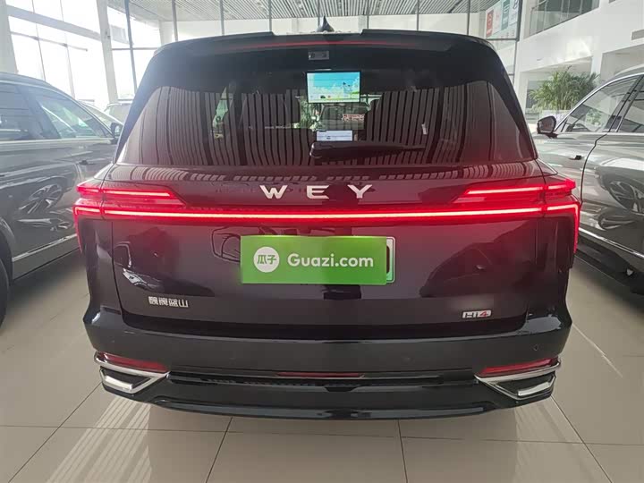 Wey Lanshan 2025 2025款 四驱智驾 Ultra