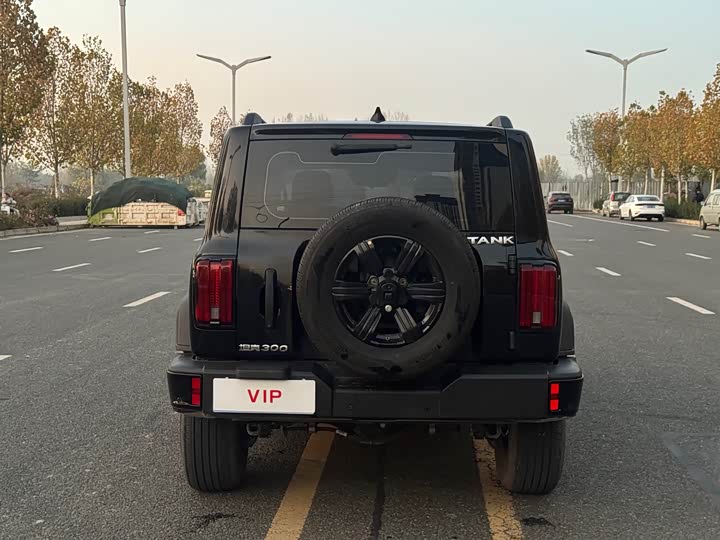 Tank 300 2025 2025款 2.0T 汽油征服者