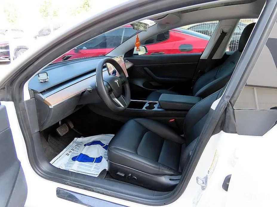 Tesla Model 3 2017 Standard Range Plue