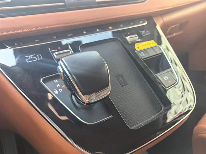 Hongqi HQ9 2023 2023款 2.0T 智联旗韵版