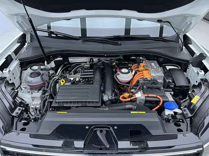 Volkswagen Tayron GTE Hybrid 2023 2023款 280TSI 豪华Plus进阶版