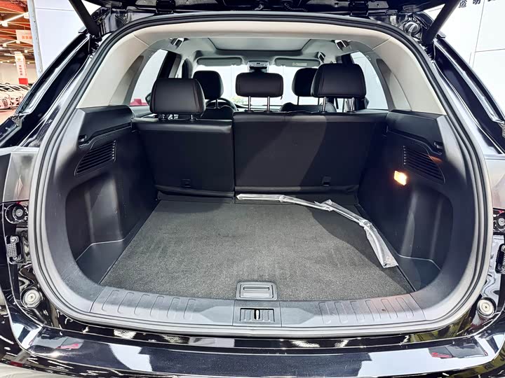 GAC Trumpchi GS4 Plus 2022 2022款 390T 自动星云版