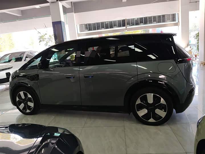 Zeekr Mix 2025 2025款 智驾版