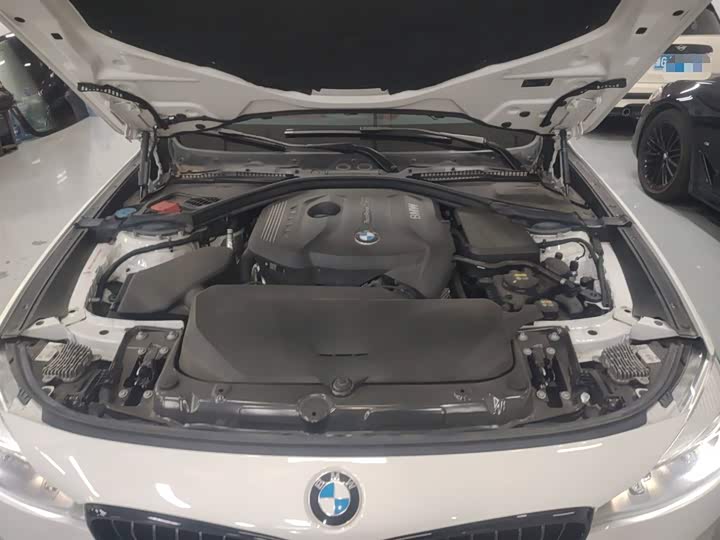 BMW 3 Series GT 2020 2020款 320i M运动曜夜版