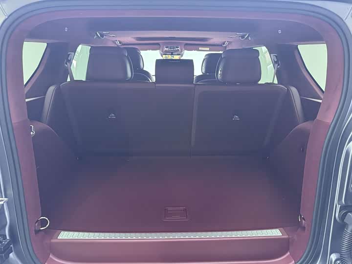 Tank 700 Hybrid 2024 2024款 Hi4-T 极境版