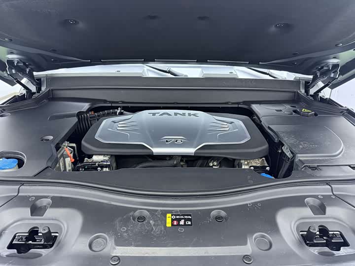 Tank 700 Hybrid 2024 2024款 Hi4-T 极境版