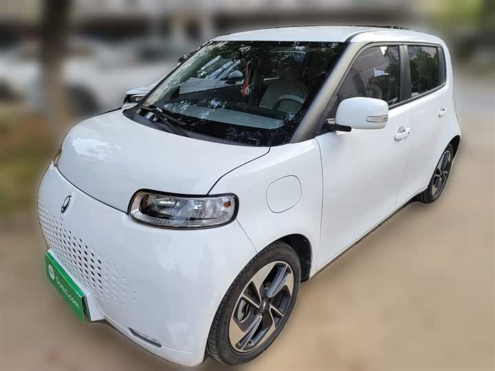 Ora White Cat 2020 2020款 305km 豪华型