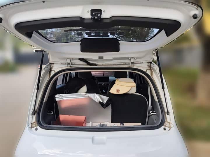 Ora White Cat 2020 2020款 305km 豪华型