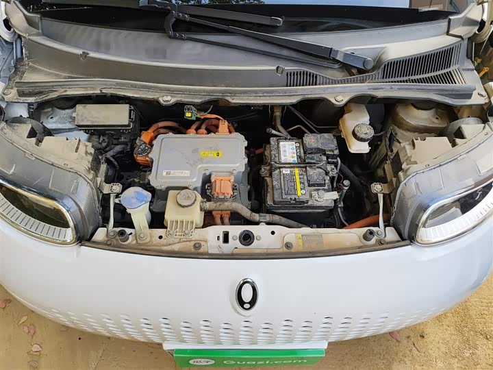 Ora White Cat 2020 2020款 305km 豪华型