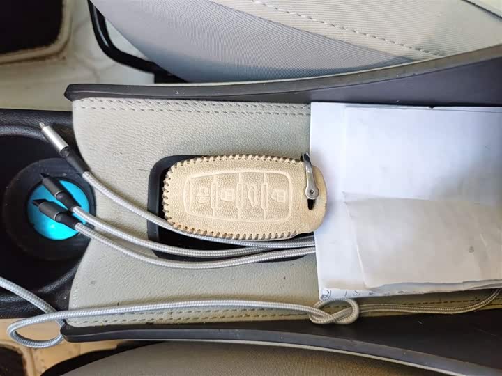 Ora White Cat 2020 2020款 305km 豪华型