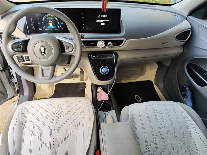 Ora White Cat 2020 2020款 305km 豪华型