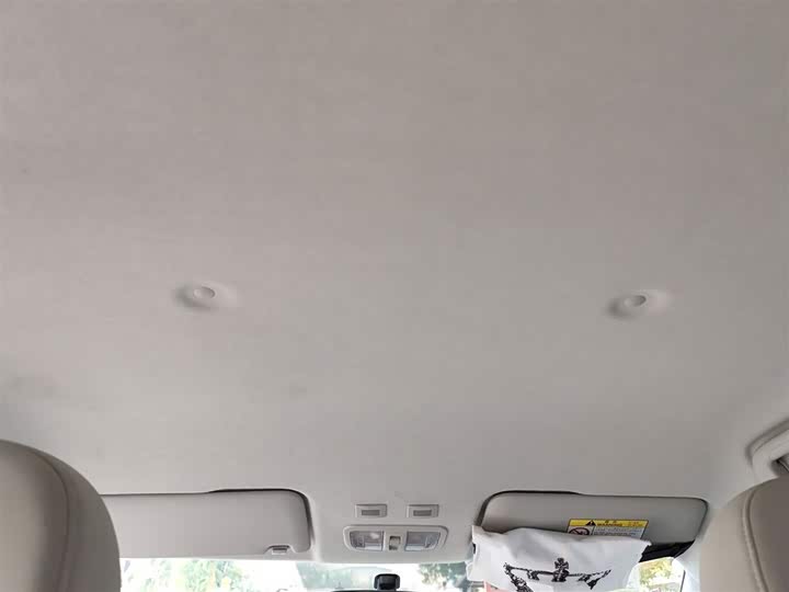 Ora White Cat 2020 2020款 305km 豪华型