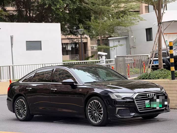 Audi A6L Hybrid 2020 2020款 55 TFSI e quattro
