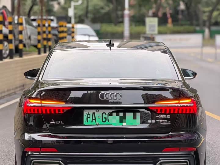 Audi A6L Hybrid 2020 2020款 55 TFSI e quattro