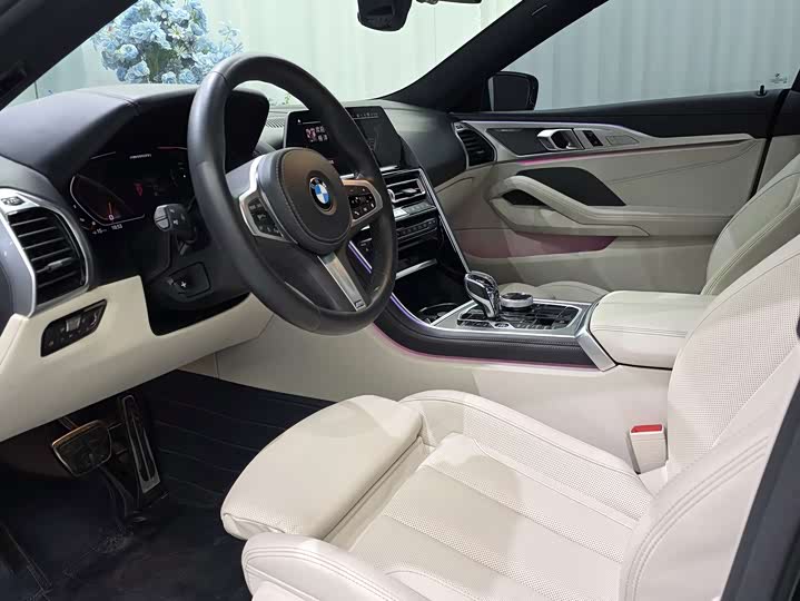 2022 BMW 8 Series