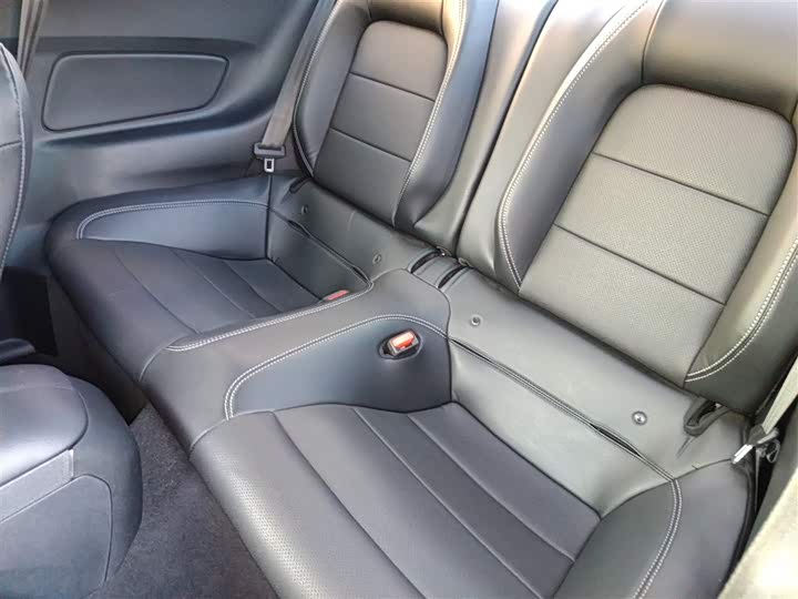 Ford Mustang 2021 2021款 2.3T EcoBoost