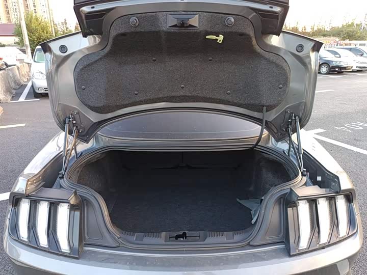 Ford Mustang 2021 2021款 2.3T EcoBoost