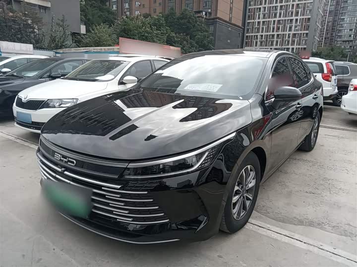 BYD Destroyer 05 2024 2024款 荣耀版 DM-i 55KM 尊贵型