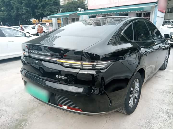 BYD Destroyer 05 2024 2024款 荣耀版 DM-i 55KM 尊贵型