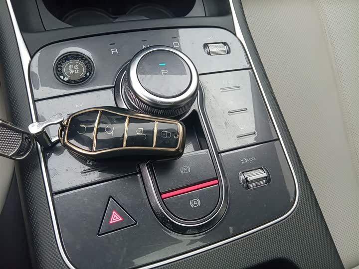 BYD Destroyer 05 2024 2024款 荣耀版 DM-i 55KM 尊贵型