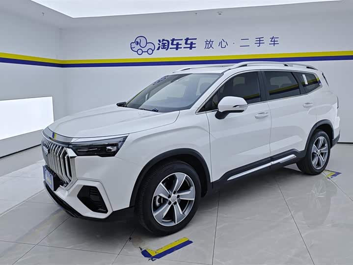 Geely Okavango L 2024 2024款 2.0T DCT旗舰型