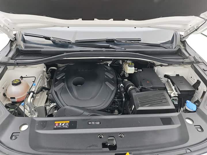 Geely Okavango L 2024 2024款 2.0T DCT旗舰型