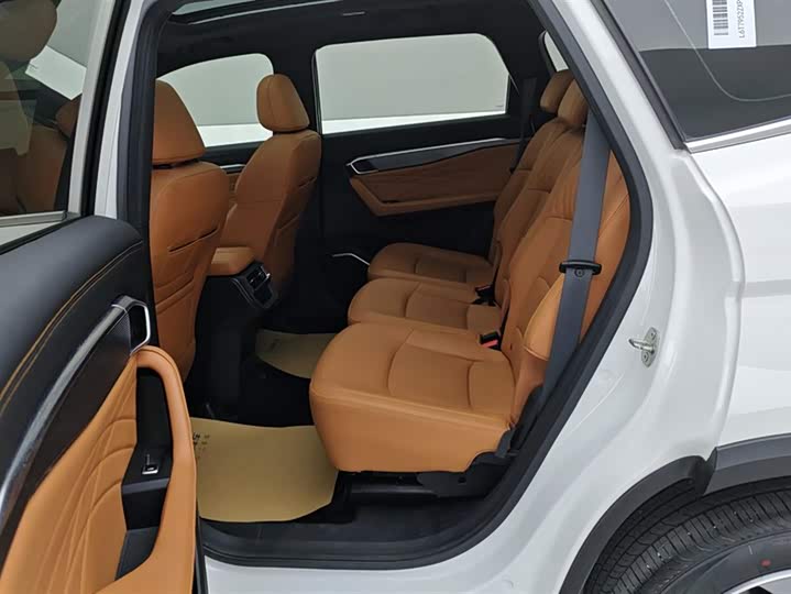 Geely Okavango L 2024 2024款 2.0T DCT旗舰型