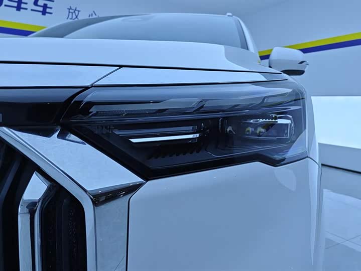 Geely Okavango L 2024 2024款 2.0T DCT旗舰型