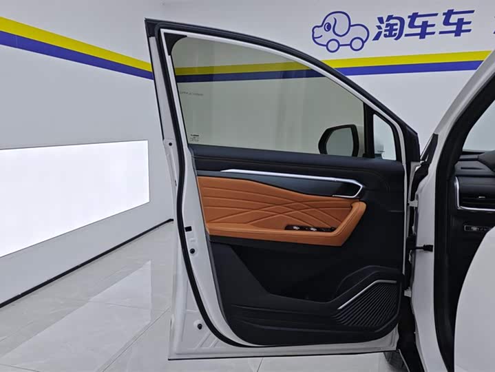 Geely Okavango L 2024 2024款 2.0T DCT旗舰型