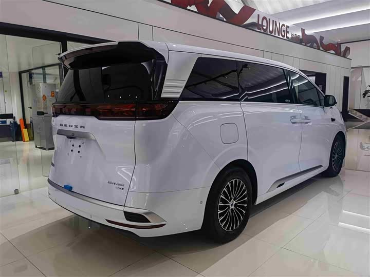 2025 Denza D9