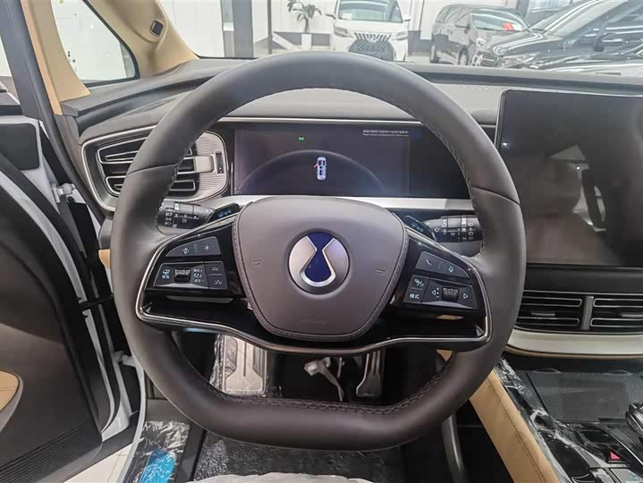 Denza D9 2025 2025款 DM-i 智驾版 1020 四驱旗舰型