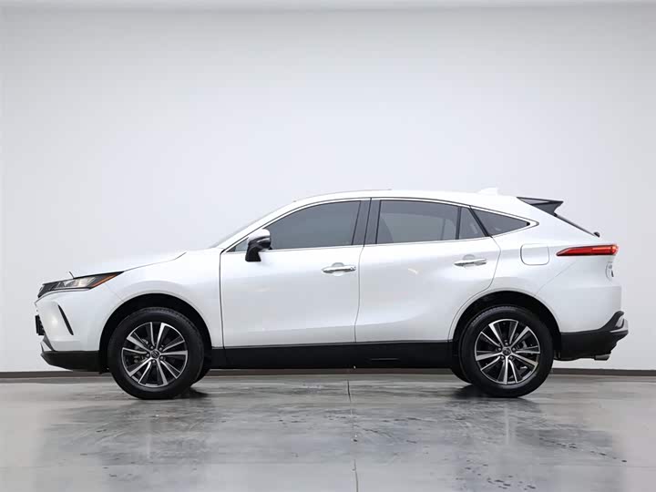 Toyota Harrier 2024 2024款 2.0L CVT两驱进取版