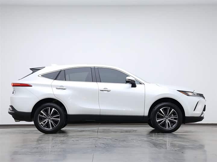 Toyota Harrier 2024 2024款 2.0L CVT两驱进取版