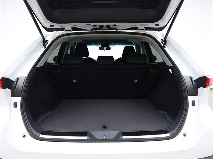 Toyota Harrier 2024 2024款 2.0L CVT两驱进取版