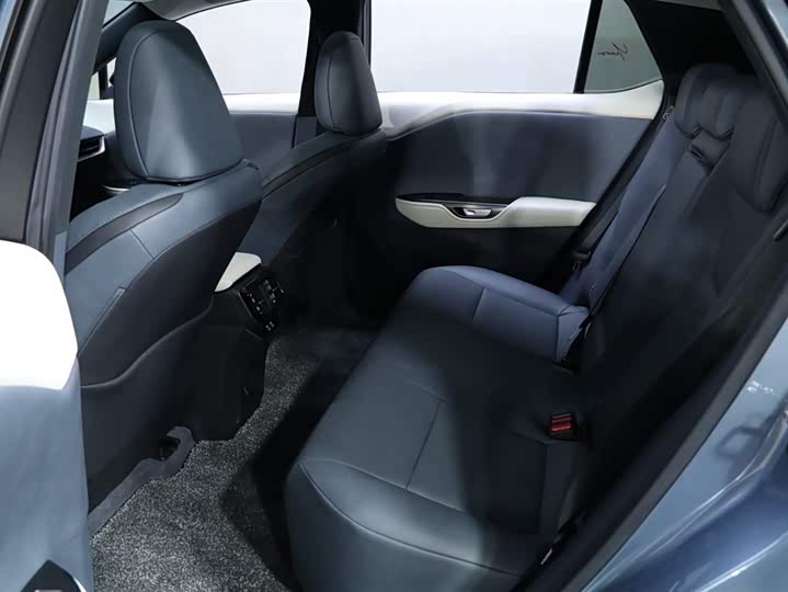 Lexus RZ 2023 2023款 450e 四驱纵享版