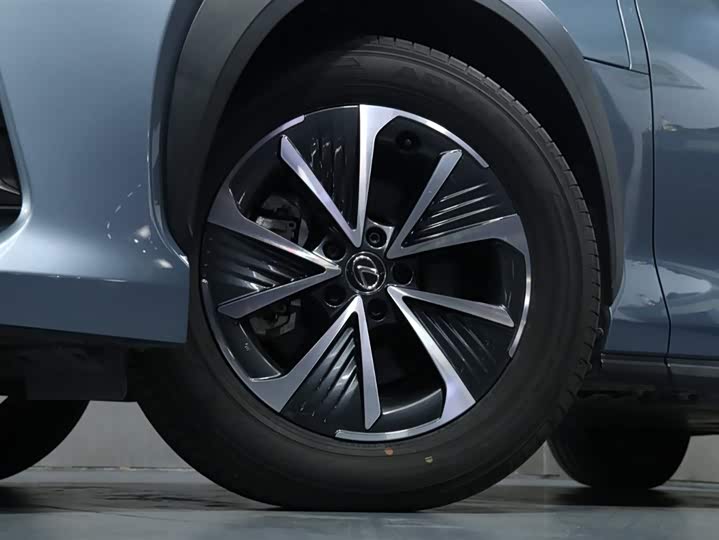 Lexus RZ 2023 2023款 450e 四驱纵享版