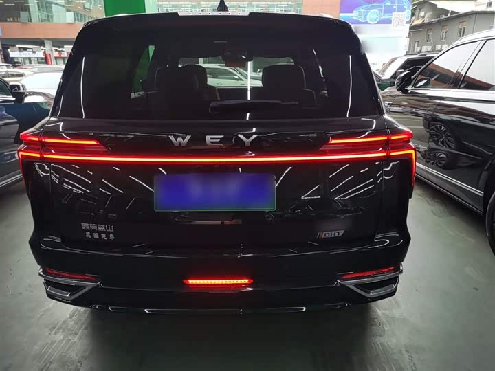 Wey Lanshan 2023 2023款 四驱超长续航版