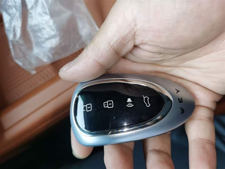 Wey Lanshan 2023 2023款 四驱超长续航版