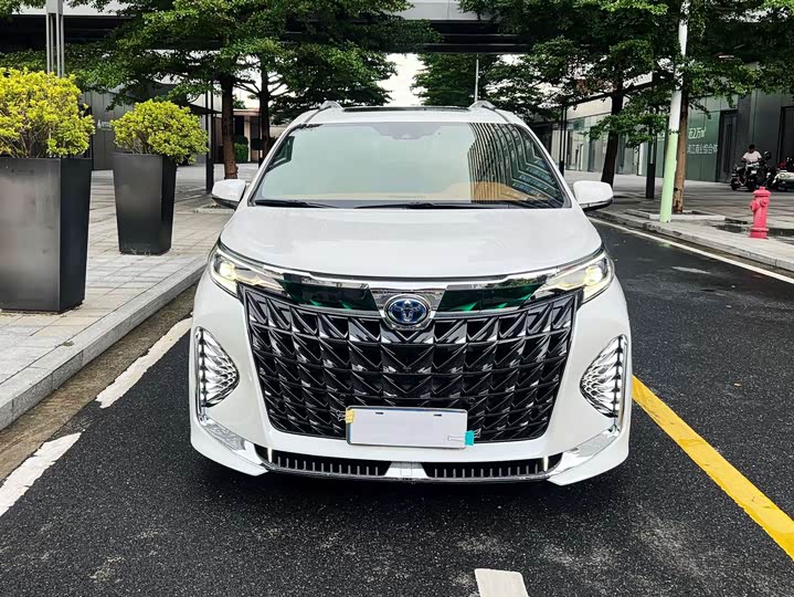 Toyota Granvia 2024 2024款 2.5L混动 舒适版