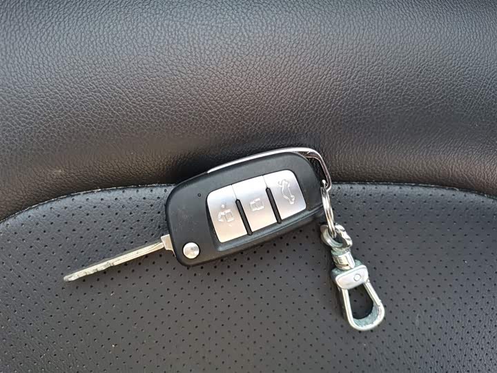 Geely Vision 2020 2020款 1.5L 手动超值版